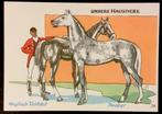 dl 1960  paard Arabisch Volbloed  en Engelse Volbloed jockey, Verzamelen, Ansichtkaarten | Themakaarten, 1940 tot 1960, Overige thema's