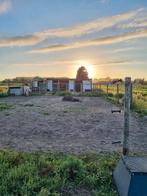 huur landje ter overname in Ridderkerk, Dieren en Toebehoren, Stalling en Weidegang