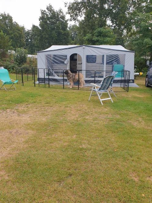 Mooie DWT Zelte luifel voortent, Caravans en Kamperen, Tenten, Zo goed als nieuw, Ophalen