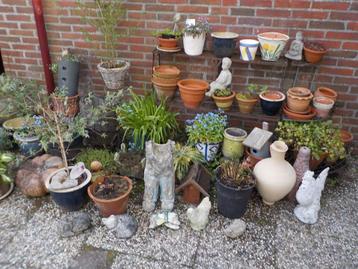 Vandaag    Potten en Plantenmarkt € 1,=   € 1,=  € 1,=   beschikbaar voor biedingen