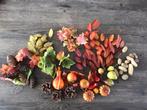 Herfst decoratie, appeltjes, peren, pompoenen, dennenappels, Ophalen of Verzenden, Zo goed als nieuw