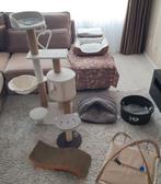 Kitten spullen, Dieren en Toebehoren, Katten en Kittens | Raskatten | Korthaar, Poes, Ontwormd, 0 tot 2 jaar