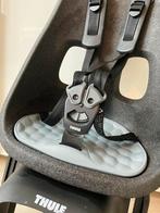 Thule Yepp Nexxt Maxi Fietsstoeltje - Achterzitje, Fietsen en Brommers, Fietsaccessoires | Fietsstoeltjes, Ophalen, Achterzitje