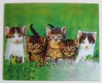 Kaart met 3D effect: kittens, katten, Ophalen of Verzenden, 1980 tot heden, Ongelopen, Hond of Kat