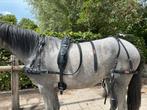 SAM Mentuig pony, Dieren en Toebehoren, Ophalen of Verzenden, Zo goed als nieuw, Overige soorten