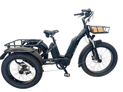 Nieuw E Bike Diablo Big Foot met 8 versnellingen, Fietsen en Brommers, Fietsen | Heren | Herenfietsen, Nieuw, Overige merken, Minder dan 49 cm