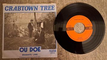Crabtown tree  - ou doe beschikbaar voor biedingen