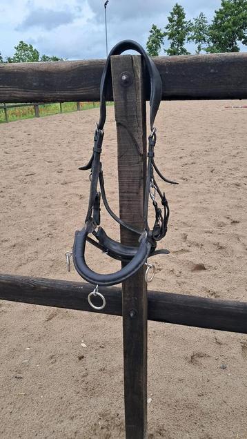 Kaptoom maat pony beschikbaar voor biedingen
