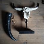 Buffel schedel op standaard en buffelhoorn, Huis en Inrichting, Ophalen of Verzenden, Nieuw