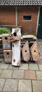 5 GROTE broedblokken vogelhuizen ook voor parkieten maar €30, Ophalen, Zo goed als nieuw