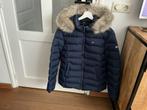 Tommy Hilfiger Winterjas Dames maat xxl, Kleding | Dames, Jassen | Winter, Ophalen of Verzenden, Zo goed als nieuw, Maat 42/44 (L)
