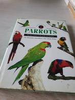 Parrots, Meerdere dieren, Parkiet