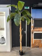 Kunst boom, Huis en Inrichting, Ophalen, Zo goed als nieuw, Binnen