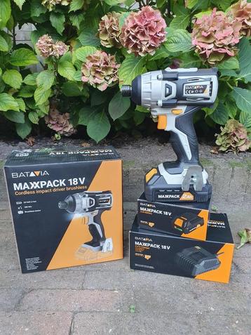 Batavia 18 v Accuslag machine met Accu en Lader  € 100,00 beschikbaar voor biedingen