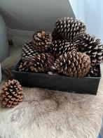 Grote dennenappels,leuk voor herfst en kerst, Ophalen, Zo goed als nieuw