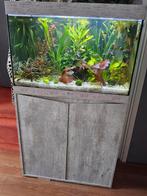 mooi aquarium met led verlichting, Aquatlantis SPLENDID 80, Ophalen, Gebruikt, Leeg aquarium