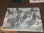 Zebra canvas te koop, Ophalen of Verzenden, Zo goed als nieuw