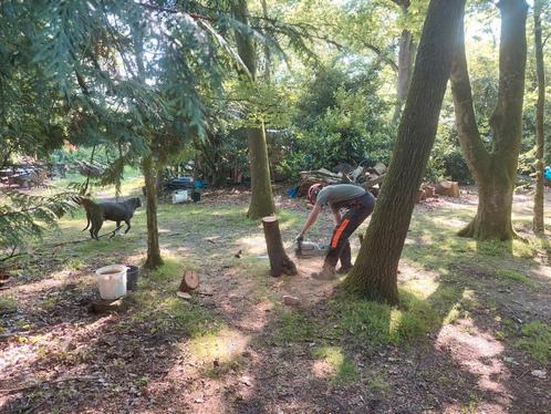 Hovenier/tuinman, Diensten en Vakmensen, Tuinmannen en Stratenmakers, Bestrating, Hekwerk of Schuttingen, Tuin- of Vijveraanleg