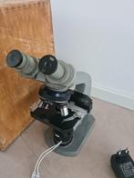 Stereo microscoop olympus tokyo, Ophalen, Gebruikt, 400x tot 1000x, Stereomicroscoop