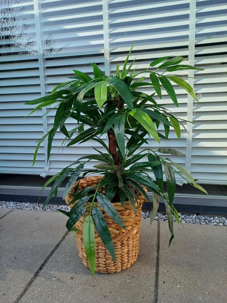 Kunstplant/Boom - 80cm - Realistisch, Huis en Inrichting, Kamerplanten, Ophalen of Verzenden