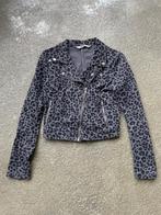 Tijgerprint spijker jasje van H&M maat 170, Ophalen of Verzenden, Gebruikt, Meisje, Jas