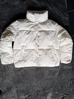 JAS CLOCKHOUSE WIT. Mt 40, Kleding | Dames, Jassen | Winter, Ophalen of Verzenden, Zo goed als nieuw, Maat 38/40 (M), Wit