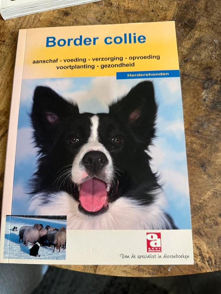 De Border Collie, Boeken, Dieren en Huisdieren, Zo goed als nieuw, Honden, Ophalen of Verzenden