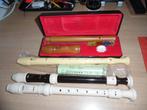 Blokfluiten, Muziek en Instrumenten, Ophalen of Verzenden, Gebruikt, Overige typen, Met koffer, hoes of etui