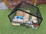 Te koop Hamster kooi compleet met extra's., Dieren en Toebehoren, Kooi, Minder dan 75 cm, Zo goed als nieuw, Hamster