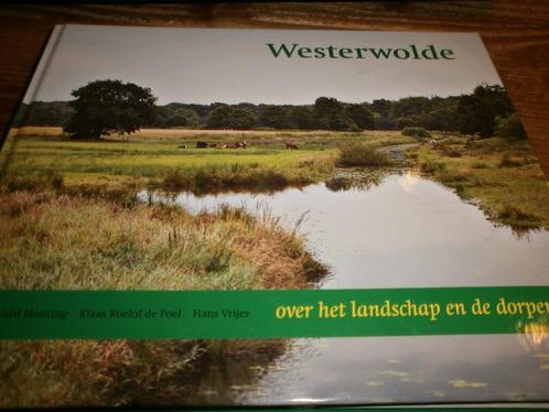 westerwolde dorpen en landschap met veel afbeeldingen, Boeken, Geschiedenis | Stad en Regio, Nieuw, 20e eeuw of later, Ophalen of Verzenden