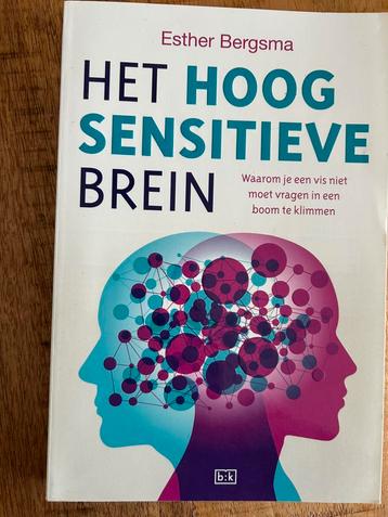Het hoogsensitieve brein beschikbaar voor biedingen