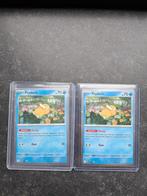 Psyduck 10 euro pst, Dieren en Toebehoren, Vogels | Overige Vogels, Meerdere dieren