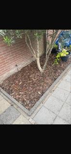 Stootbanden / Palissade - 12 Meter GRATIS, Tuin en Terras, Bielzen en Borders, Ophalen, Gebruikt, 200 cm of meer, Border