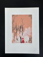 Zeefdruk Johan van der Berg, Antiek en Kunst, Kunst | Litho's en Zeefdrukken, Verzenden