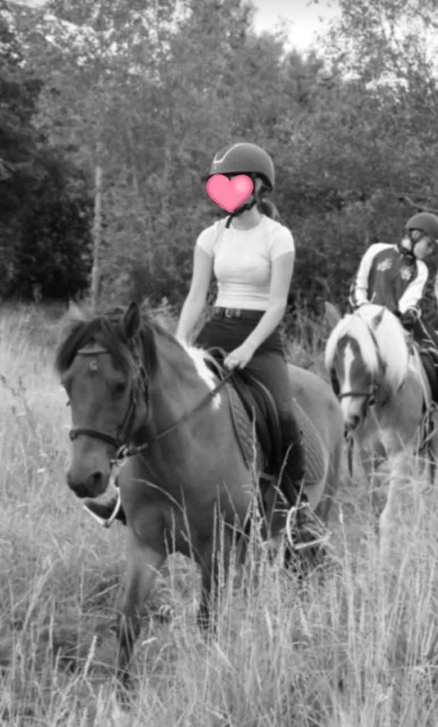 Bijrijder aangeboden, Dieren en Toebehoren, Paarden en Pony's | Verzorgingsproducten, Nieuw, Ophalen of Verzenden