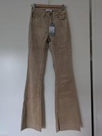 Ribbroek flared nieuw, Beige, Nieuw, Ophalen of Verzenden, Costes