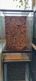 2x terrarium 30x30x50 met achterwandjes, Dieren en Toebehoren, Reptielen en Amfibieën | Toebehoren, Ophalen, Zo goed als nieuw