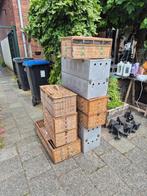 duivenmanden, Dieren en Toebehoren, Vogels | Duiven, Overige soorten