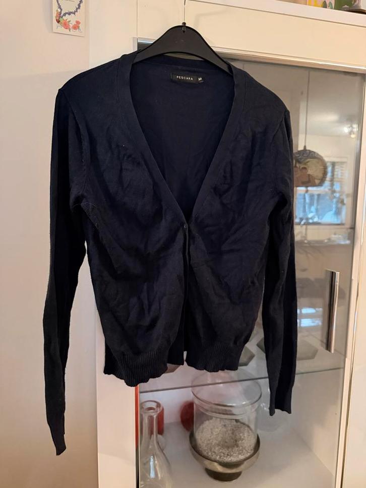 Zwart vest Pescara - Maat M, Kleding | Dames, Truien en Vesten, Gedragen, Maat 38/40 (M), Zwart, Ophalen of Verzenden