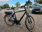 Pegasus siena e7f belt, 59 cm of meer, Ophalen, Zo goed als nieuw, Overige merken
