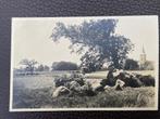 ansichtkaart van Drente ; Hunebeddden., Verzenden, 1960 tot 1980