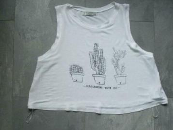 PULL & BEAR topje maat S (qwe) beschikbaar voor biedingen