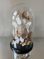 Luxe vlinder stolp XXL, Ophalen, Zo goed als nieuw