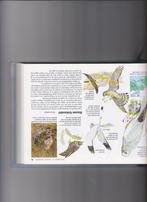 Vogels, Vogelgids, Reader's Digest Vogelgids 1982, Boeken, Reader's Digest, Ophalen of Verzenden, Zo goed als nieuw, Vogels