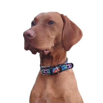 WAUDOG Flower Lederen Halsband Zwart Nek 30-39 cm KOOPJE!!! beschikbaar voor biedingen