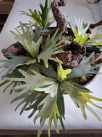 Metalen schaal met kunst planten, Ophalen, Zo goed als nieuw, Binnen