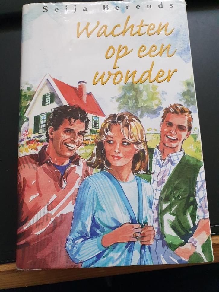 Spannende roman van Seija Berends, Boeken, Romans, Zo goed als nieuw, Ophalen of Verzenden