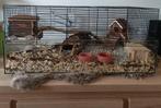 Erg grote hamster kooi 78 cm lengte ( interzoo), Dieren en Toebehoren, Kooi, Zo goed als nieuw, Hamster, 75 tot 110 cm