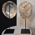 Abalone schelp raw op standaard Large, Huis en Inrichting, Woonaccessoires | Overige, 2841bh, Nieuw, Ophalen of Verzenden, Eyecatcher store