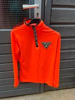 La valencio lange mouwen/ schirtje harty horse, Ophalen of Verzenden, Zo goed als nieuw, Dressuur, Bovenkleding